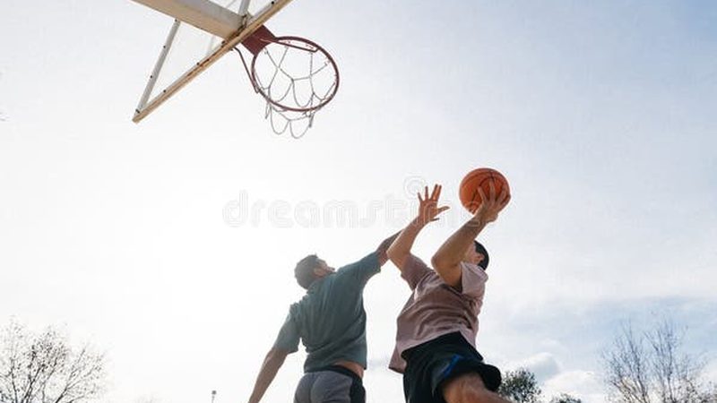 绿植租摆养护，如何打造绿色办公空间**
