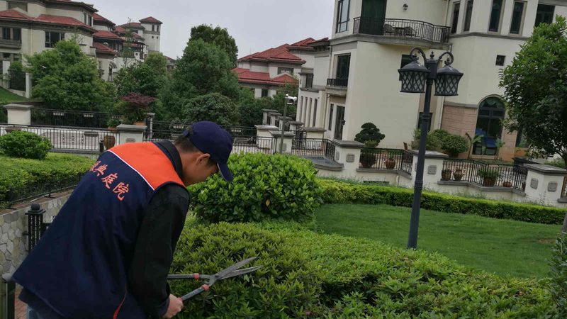 反季节苗木种植，时间节点比技术更关键