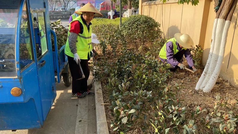 绿化资质年审与换证：区别与要点解析