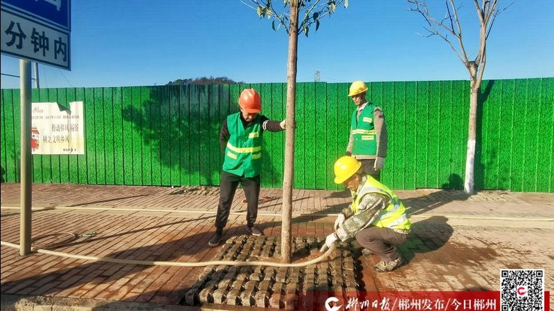 道路绿化造价清单的构成要素及注意事项