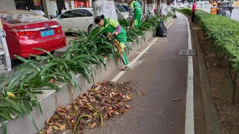 屋顶绿化加盟代理，价格几何？揭秘加盟代理的真相**