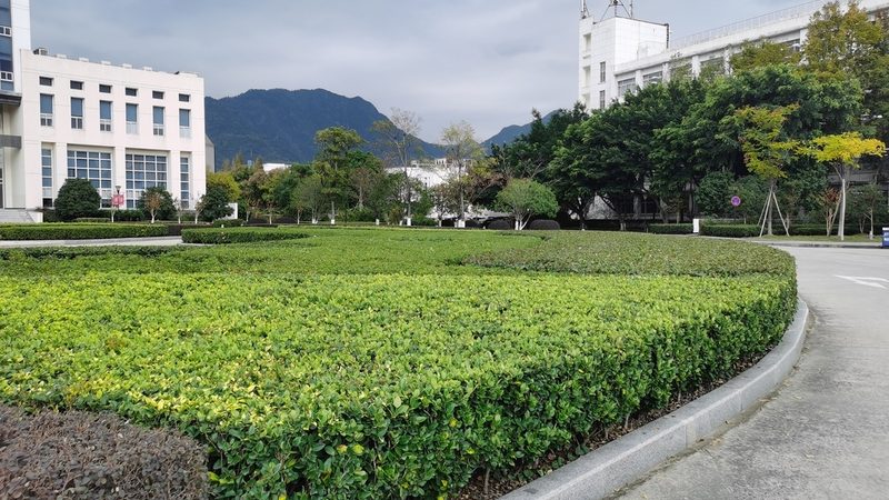 小区绿化预算：你真的了解它包含哪些项目吗？**