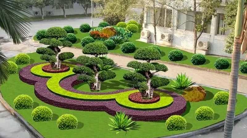 成都苗木种植技术：视频教程详解**
