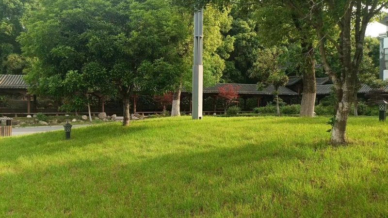 市政绿化项目招标评分标准：关键要素与评价要点