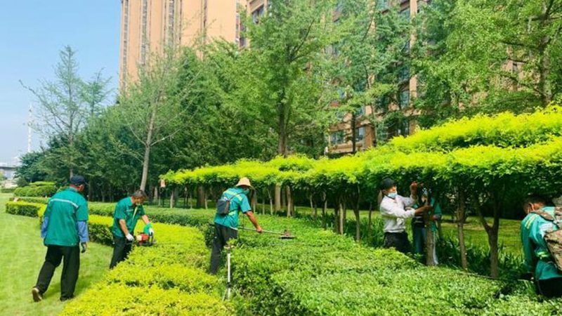 打造露台花园，植物搭配有门道**
